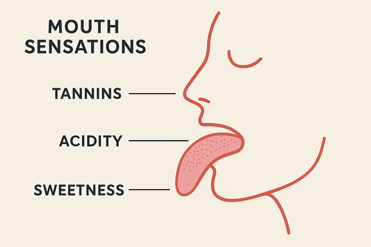 The Difference Between Tannins, Acidity, and Sweetness in Wine